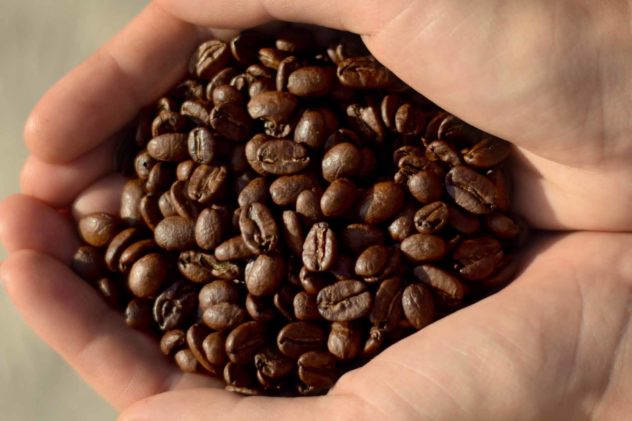 keys coffee co colombian popayan beans