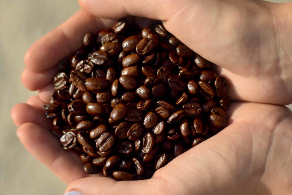 keys coffee co hazelnut cream beans